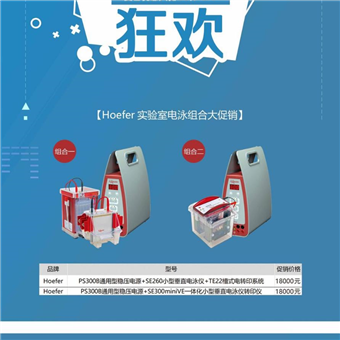 PS300Bhoefer实验室电泳组合 SE300miniVE